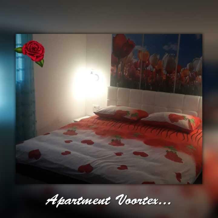Apartment Voortex 特雷比涅 外观 照片